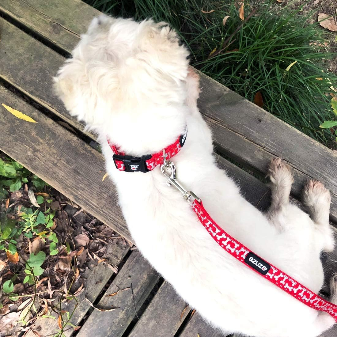 New Year Dog Collar and Leash Set, Adjustable Nylon Collar with Matching Leash for Small Dogs, Foil Printing Dog Bone Pattern, Red - Image 4