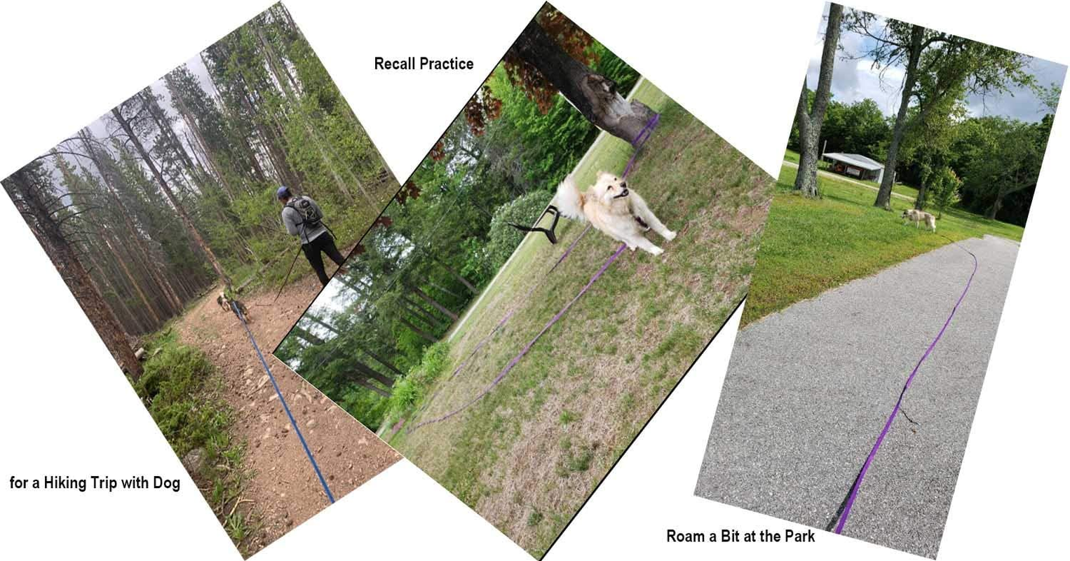 Dog/Puppy/Cat 15 Ft, 20 Ft, 30 Ft, 50 Ft Long Leash for Dog Cat Training, Play, Camping for Small, Medium Dogs or Cats(15 Feet,Purpule) - Image 6