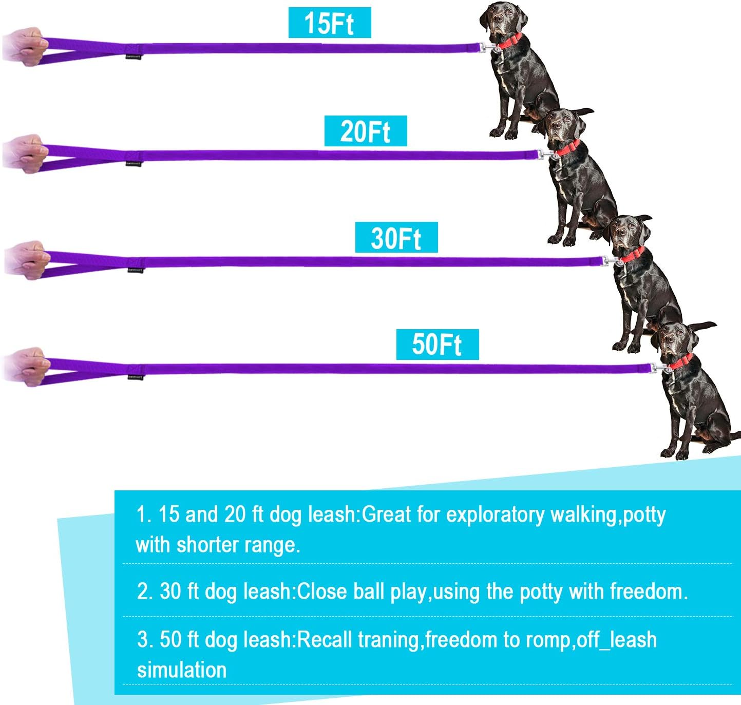 Dog/Puppy/Cat 15 Ft, 20 Ft, 30 Ft, 50 Ft Long Leash for Dog Cat Training, Play, Camping for Small, Medium Dogs or Cats(15 Feet,Purpule) - Image 7
